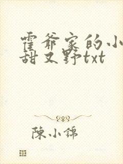 霍爷家的小祖宗甜又野txt