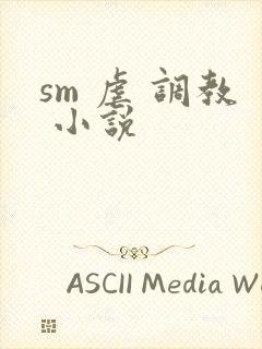 sm 虐 调教 小说