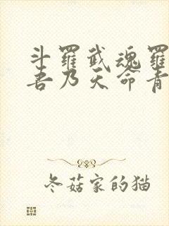 斗罗武魂罗三炮吾乃天命青龙笔趣阁封面