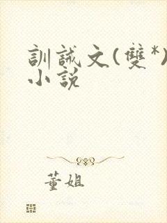 训诫文(双*)小说