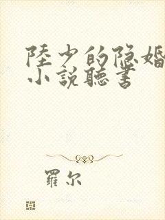 陆少的隐婚罪妻小说听书