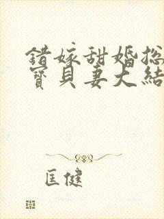 错嫁甜婚总裁的宝贝妻大结局