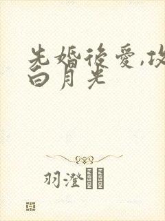 先婚后爱,攻有白月光