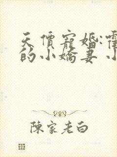 天价宠婚:霍总的小娇妻 小说