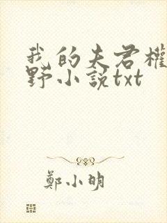 我的夫君权倾朝野小说txt