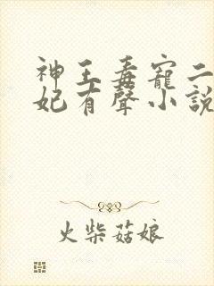 神王毒宠二嫁王妃有声小说