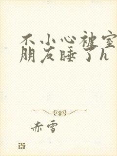 不小心被室友男朋友睡了h