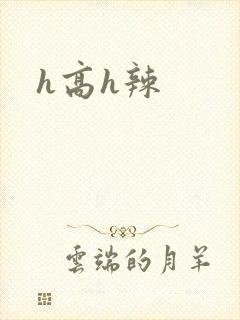 h高h辣