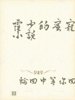 霍少的蜜宠娇妻小说