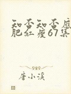 知否知否应是绿肥红瘦67集
