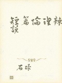 短篇伦理辣文小说