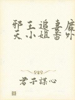 邪王追妻废材逆天小姐番外篇