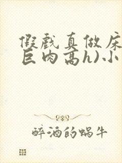 假戏真做床戏(巨肉高h)小说