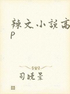 辣文小说高hnp封面