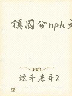 镇国公nph文封面