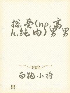 总受(np,高h,纯肉)男男文