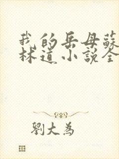 我的岳母苏沛真林道小说全文