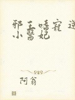 邪王嗜宠 逆天小医妃