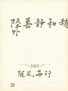 陆嘉静和赵念番外