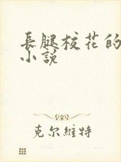 长腿校花的呻吟小说