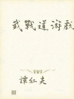 武战道游戏封面