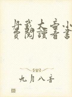丹武大帝小说免费阅读看书网