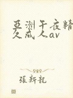 亚洲午夜精品久久成人av封面
