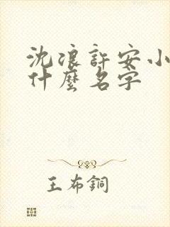 沈浪许安小说叫什么名字