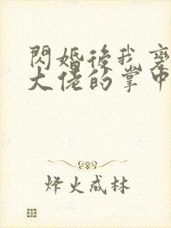 闪婚后我变成了大佬的掌中之物
