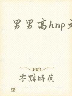 男男高hnp文