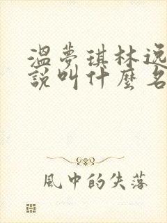 温梦琪林逸飞小说叫什么名字