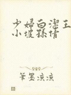 少妇白洁王申高小坡孙倩封面