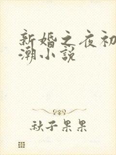 新婚之夜初尝高潮小说