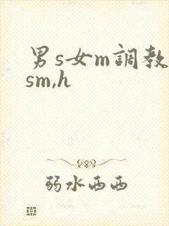 男s女m调教(sm,h封面