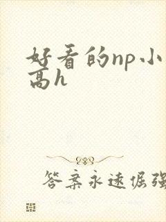 好看的np小说高h
