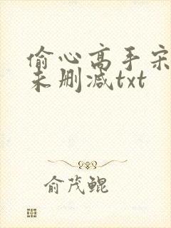 偷心高手宋青书未删减txt