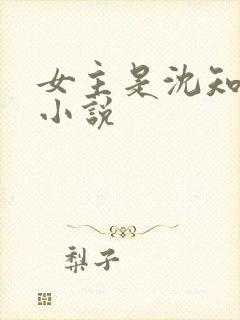 女主是沈知夏的小说