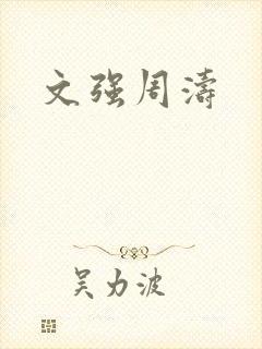 文强周涛