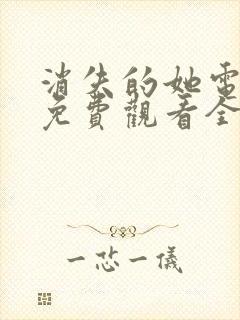 消失的她电视剧免费观看全集高清封面