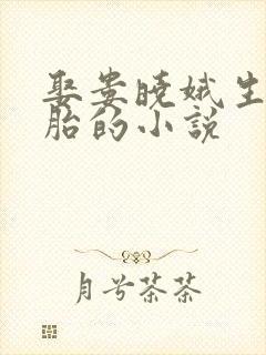 娶娄晓娥生双胞胎的小说