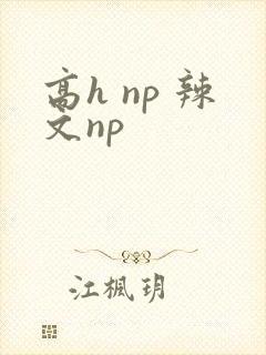 高h np 辣文np