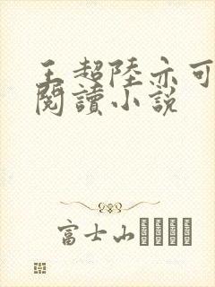 王超陆亦可免费阅读小说