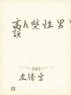 高h双性男男小说