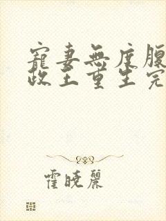 宠妻无度腹黑摄政王重生完整版