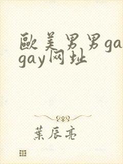 欧美男男gaygay网址