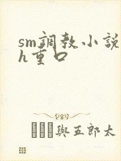 sm调教小说高h重口