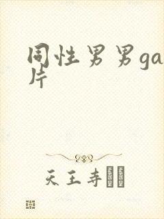 同性男男gay片