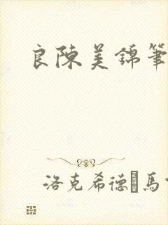良陈美锦笔趣阁