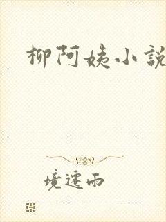柳阿姨小说封面