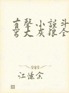 有声小说斗破苍穹大灰狼全集免费听